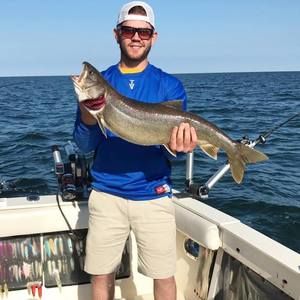 Meet your Posher, Brandon